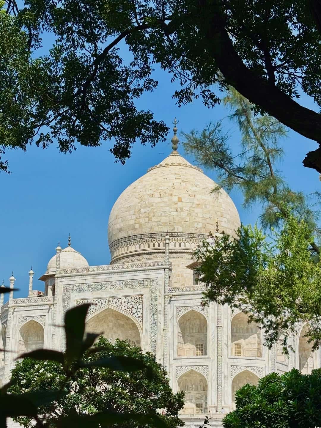 2 Days Taj Mahal Tour from Goa Cruise with Flights Inlcuded