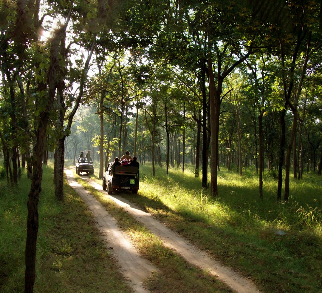 Kedadeo National Park