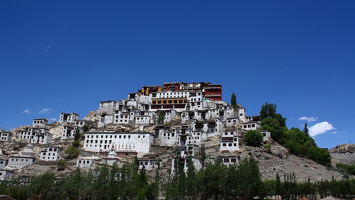 Selected Image