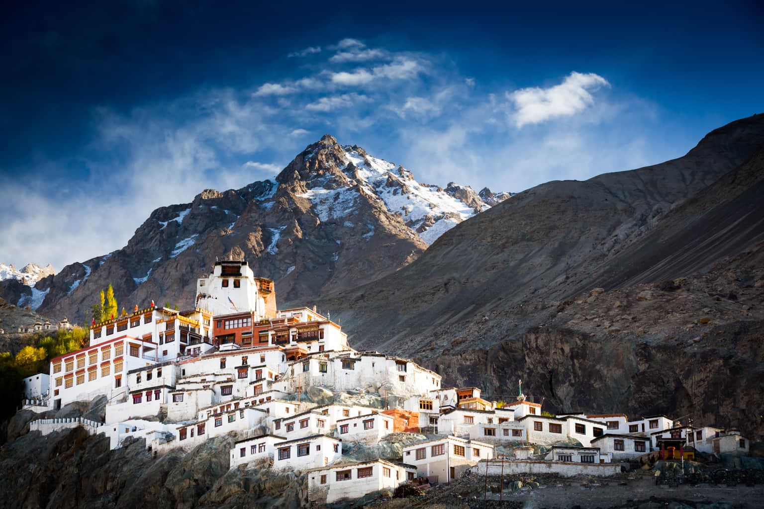 Diksit Monastery 