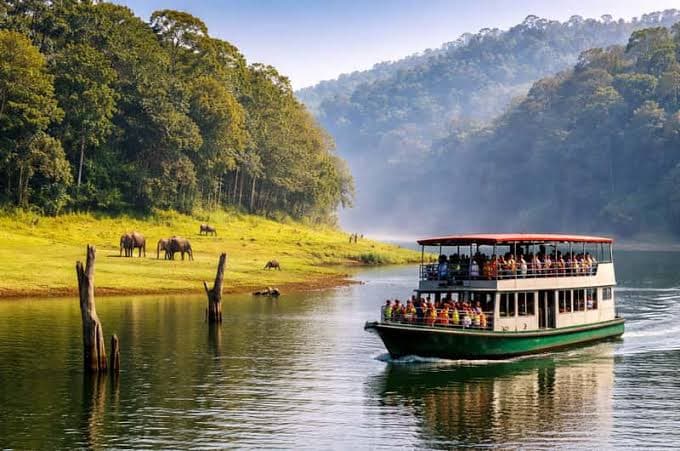 Periyar Lake 